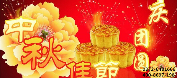 高分子聚乙烯板廠家-湯陰環(huán)球
